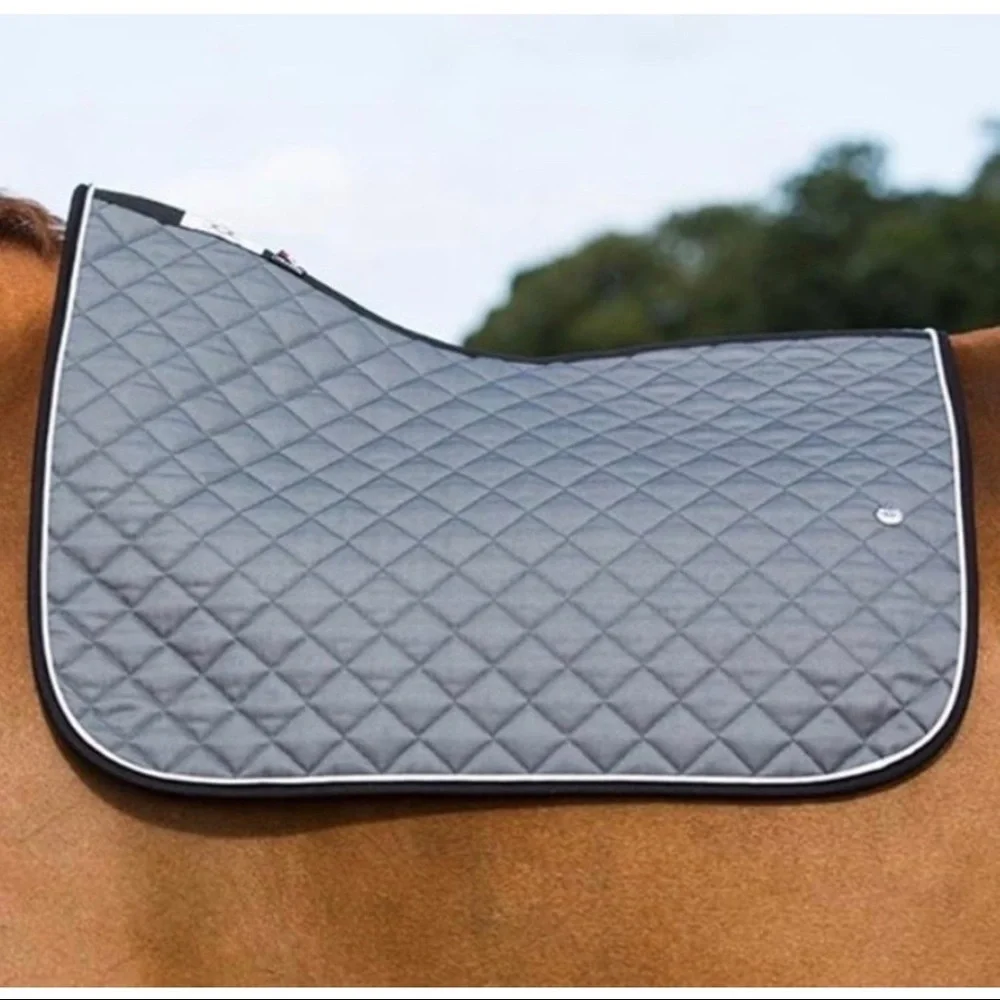 HUGE equestrian ISO!! - Picture 5 of 10
